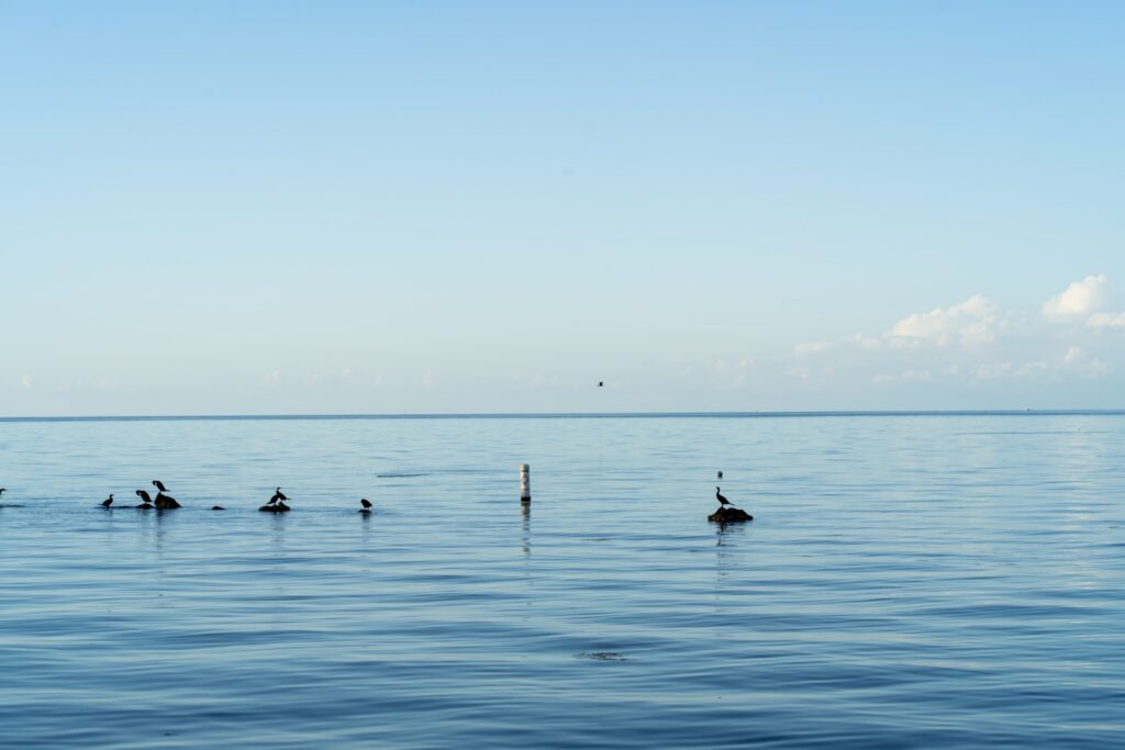 web photo